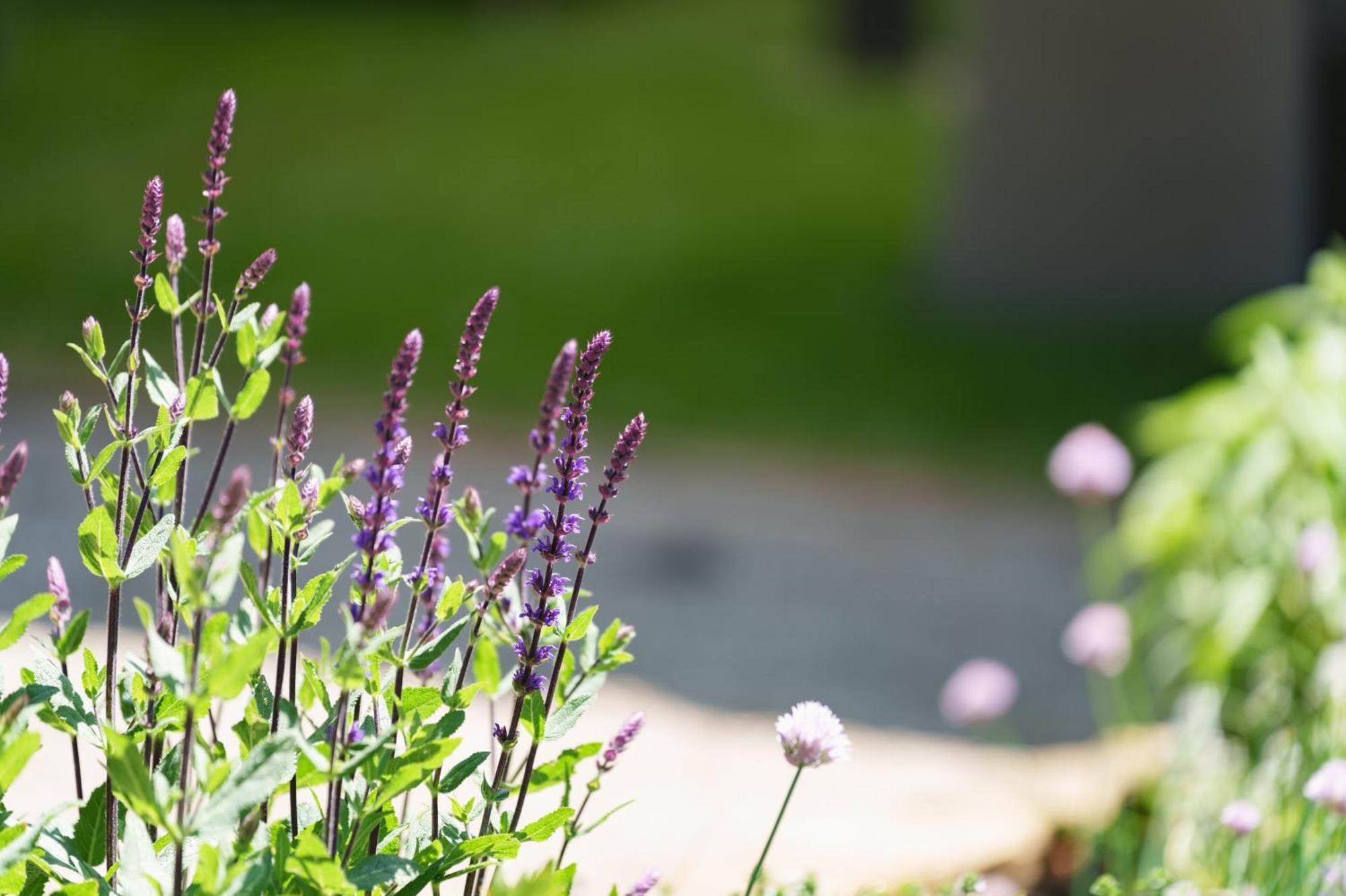 Les Jardins D'Anais Hotell Luxemburg Exteriör bild